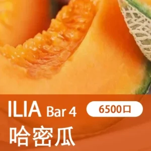 【21種口味】哩亞四代 ILIA BAR 4 6500口拋棄式/一次性電子煙 - 沁甜蜜瓜