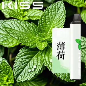【12種口味】Kis5拋棄式 6500口|Kiss一次性電子煙 口味隨心混搭 - 薄荷