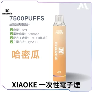 【17種口味】梟客XIAOKE 7500口一次性電子煙 - 哈密瓜