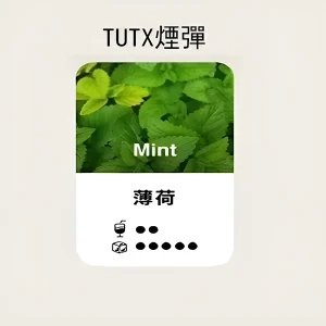 【24種口味】TUTX煙彈|TUT通用透明煙彈|適配SP2/LANA/ILIA一代主機|三顆替換裝 - 薄荷