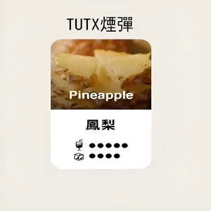 【24種口味】TUTX煙彈|TUT通用透明煙彈|適配SP2/LANA/ILIA一代主機|三顆替換裝 - 鳳梨