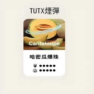 【24種口味】TUTX煙彈|TUT通用透明煙彈|適配SP2/LANA/ILIA一代主機|三顆替換裝 - 哈密瓜