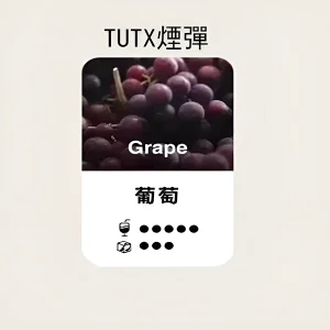 【24種口味】TUTX煙彈|TUT通用透明煙彈|適配SP2/LANA/ILIA一代主機|三顆替換裝 - 葡萄