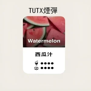 【24種口味】TUTX煙彈|TUT通用透明煙彈|適配SP2/LANA/ILIA一代主機|三顆替換裝 - 西瓜
